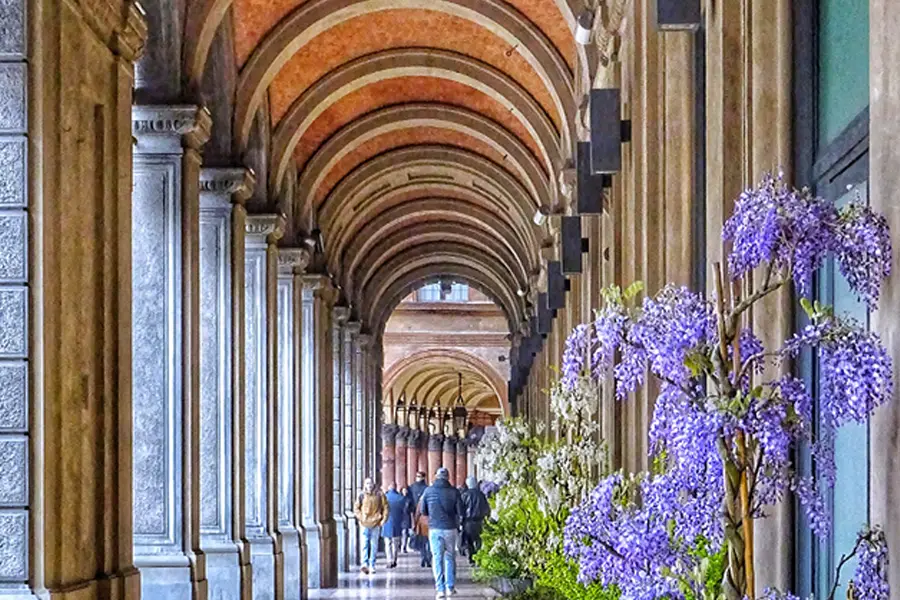 Pórticos históricos de Bolonha com colunas simétricas, arcos de tijolos e flores de glicínia roxa decorando a passagem.